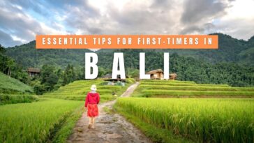 Essential Tips for First-Timers in Bali