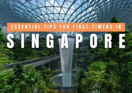 Essential Tips for First-Timers in Singapore