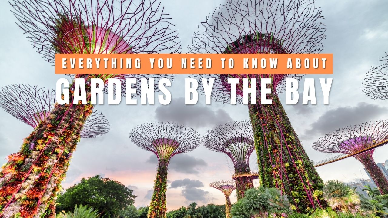 Gardens by the Bay Travel Guide: Tickets, Best Time to Visit & Insider Tips
