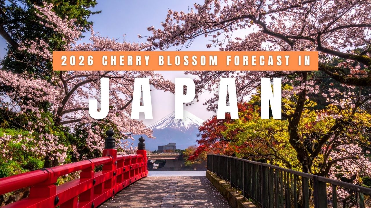 Japan Cherry Blossom Forecast 2026: Best Time & Places to See Sakura