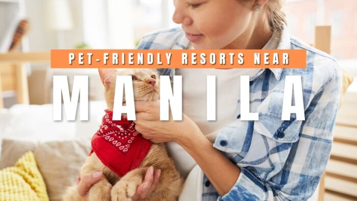 Pet-Friendly Resorts Near Manila