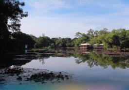 Ninoy Aquino Parks and Wildlife Center
