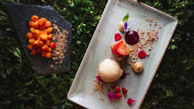Finland National Tastings Image: Visit Rovaniemi