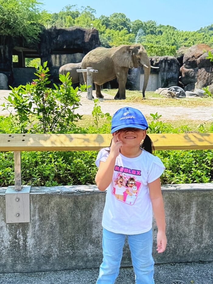 Taipei Zoo photo by Frecelynne Roman