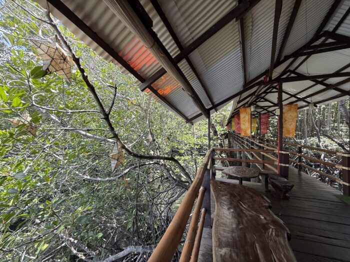Mangrove surounding Badjao Seafront Restaurant