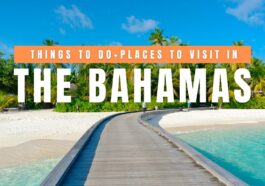 Things to Do in The Bahamas