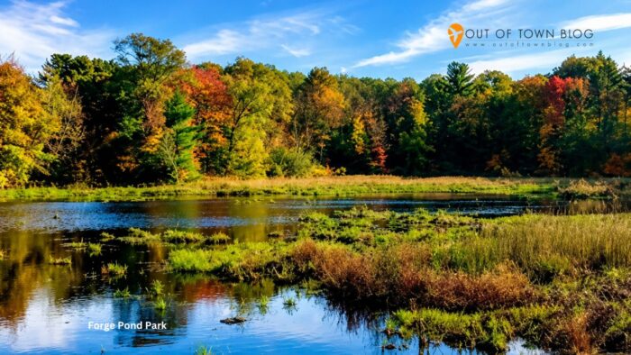 Forge Pond Park in Hanover