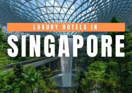 Luxury Hotels in Singapore