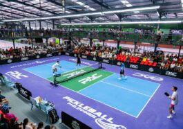 Pickleball court at PlayPro Active Courts