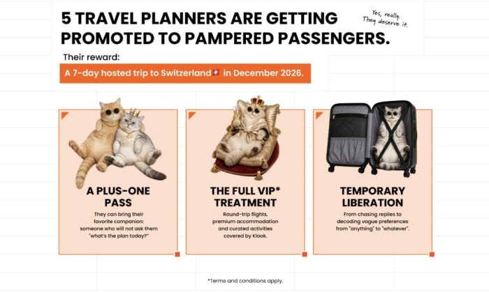 5 Travel Planners are getting promoted to pampered passengers