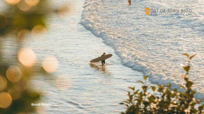 Bondi Beach Surfing