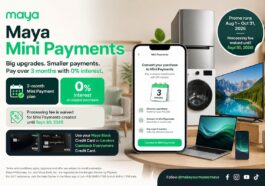 Convert a Purchase to Mini Payments