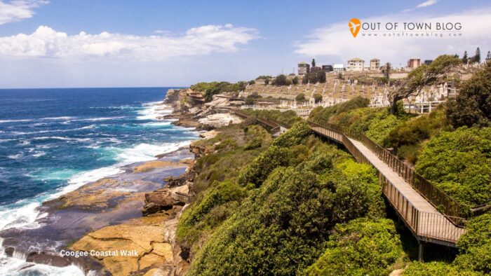 Coogee Coastal Walk