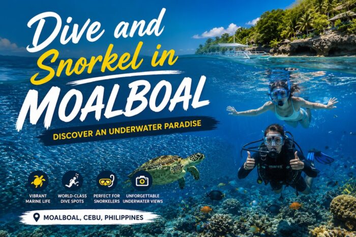 Dive and Snorkel in Moalboal