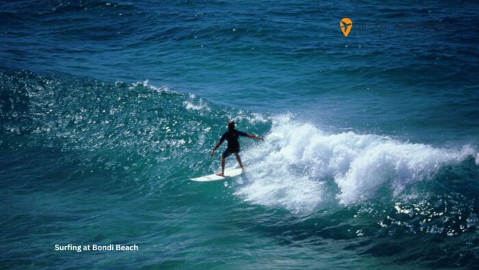 Surfing at Bondi Beach