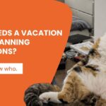Who needs a vacation from planning vacations?
