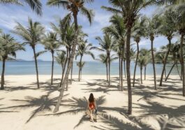 A tranquil beach on the shores of Son Tra Peninsula