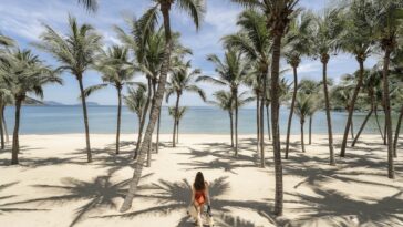 A tranquil beach on the shores of Son Tra Peninsula