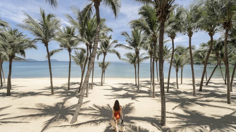 A tranquil beach on the shores of Son Tra Peninsula