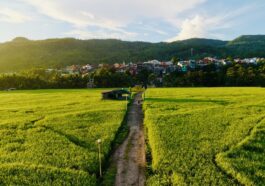 Beautiful Sampaloc - A perfect film location near Manila