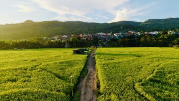 Beautiful Sampaloc - A perfect film location near Manila