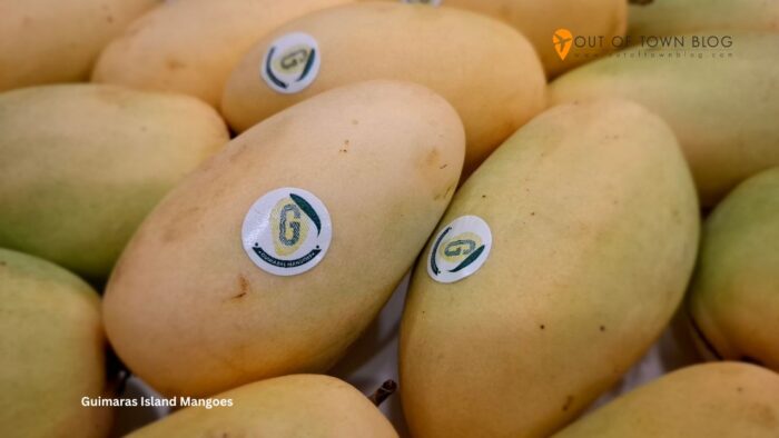 Guimaras Island Mangoes
