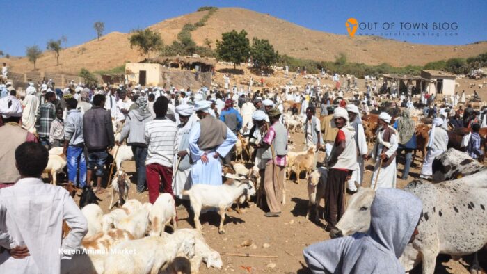Keren Animal Market