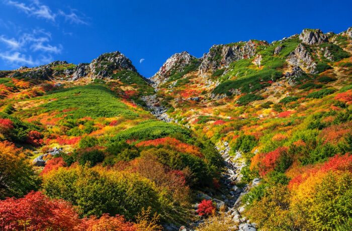 Kiso Valley's Nakasendo Trail