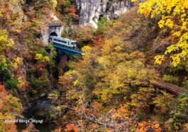 Naruko Gorge, Miyagi