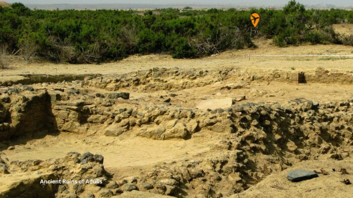 Ancient Ruins of Adulis