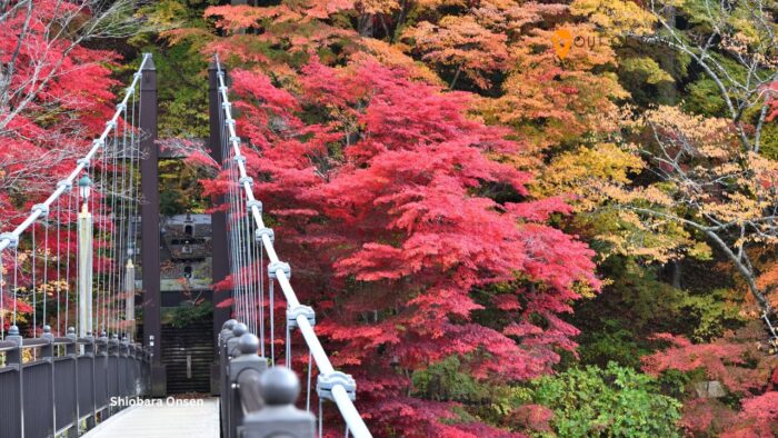 Shiobara Onsen