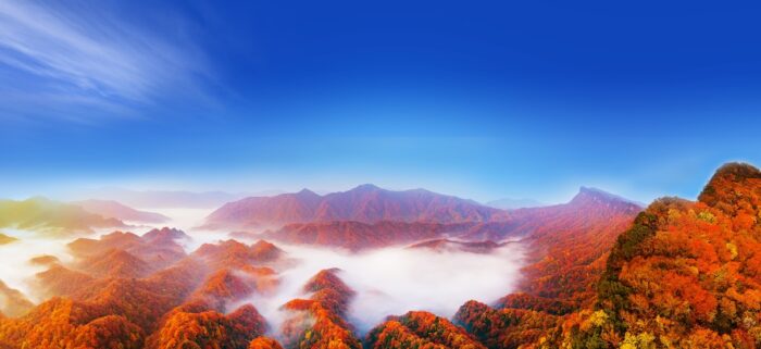 Sweeping red leaf scenery across Guangwu Mountain