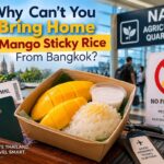 Why Can’t You Bring Home Mango Sticky Rice From Bangkok?