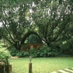 Away from the activity noise, the cabin revealed a quieter side of our journey.