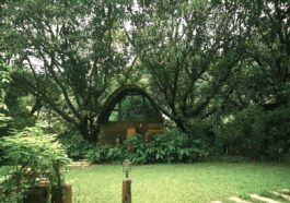 Away from the activity noise, the cabin revealed a quieter side of our journey.