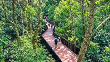 Baguio Arboretum