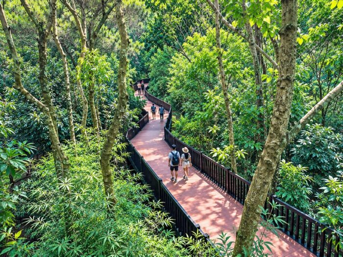 Baguio Arboretum