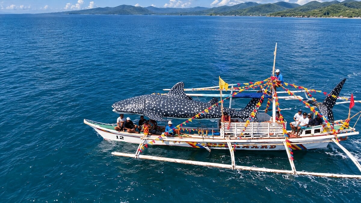 Butanding Festival in Donsol, Sorsogon