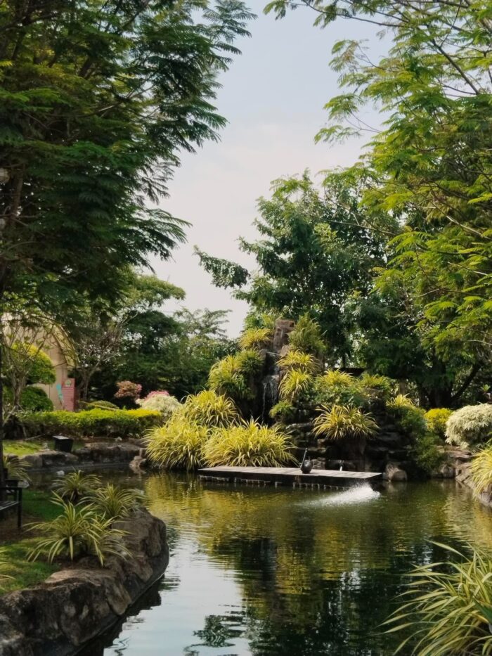 "Calm waters mirror the trees around the pond, one of the quietest corners of The Garden."