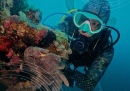Philippines Named Asia’s Leading Dive Destination for Eighth Consecutive Year