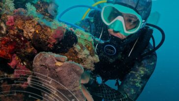 Philippines Named Asia’s Leading Dive Destination for Eighth Consecutive Year