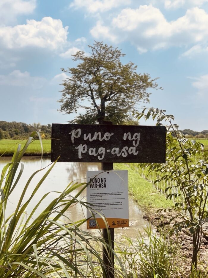“Puno ng Pag-asa.” is an attraction that is found near a pond. It represents hope, perseverance, and growth amidst the natural setting of the destination.
