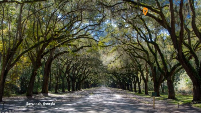 Savannah, Georgia