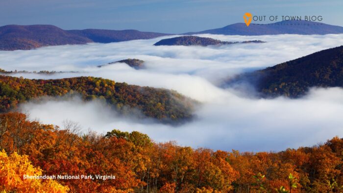 Shenandoah National Park, Virginia