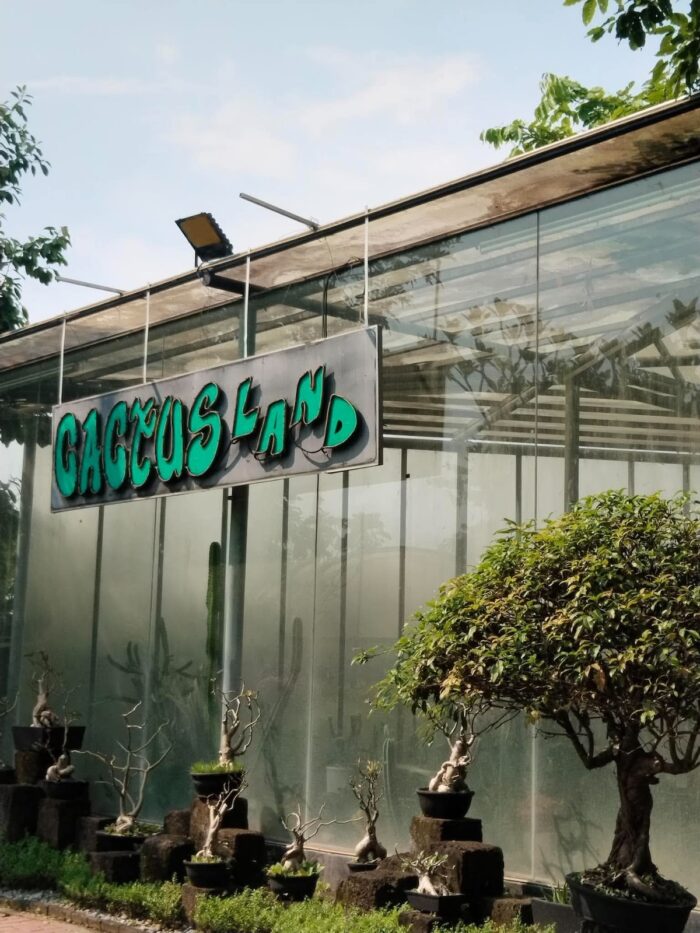 “The glass house of Cactus Land, fronted by potted bonsai-style trees, is one of The Garden's creative plant displays”