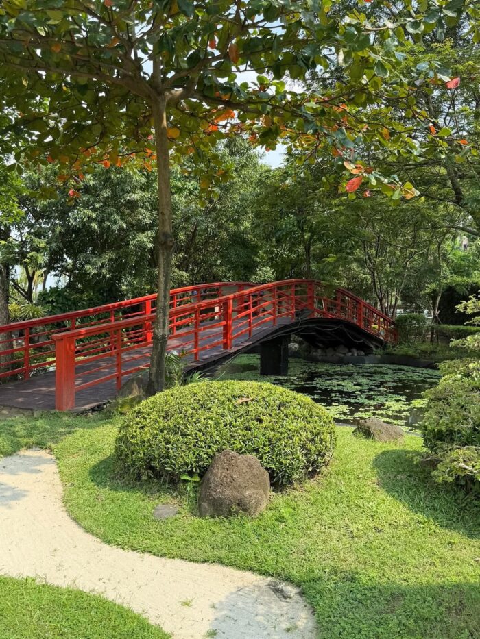 "The red bridge adds a bright touch of color to the pond area, tucked among the greenery."