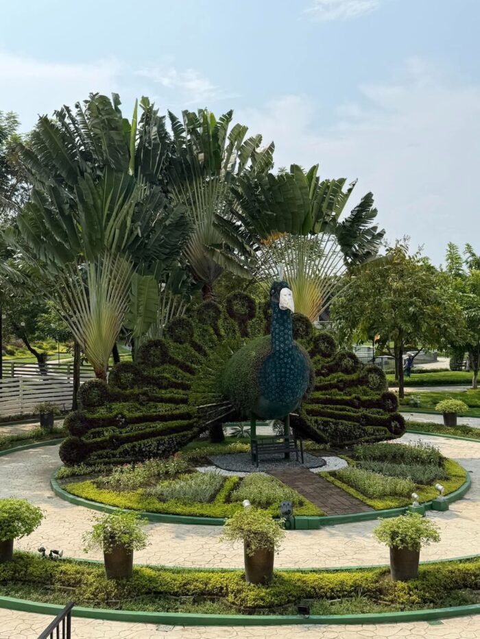 "Trimmed plants take the shape of a peacock, one of The Garden's most eye-catching sights."