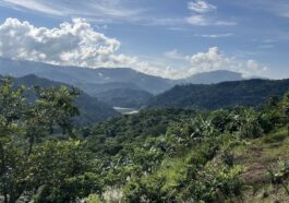 Where the mountains meet the sky: A breathtaking view from Hiraya Manawari.