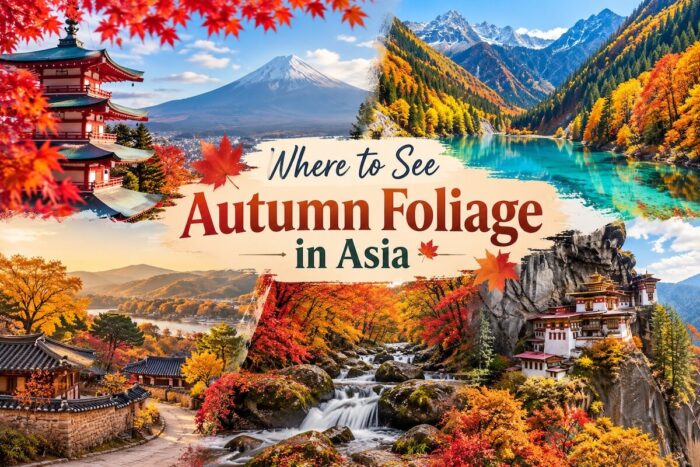 Where to See Autumn Foliage in Asia