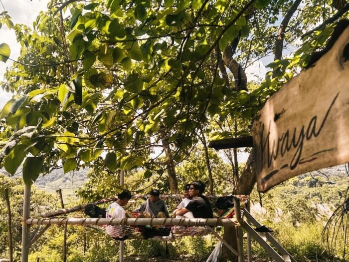 Where unforgettable experiences are shared under the trees.